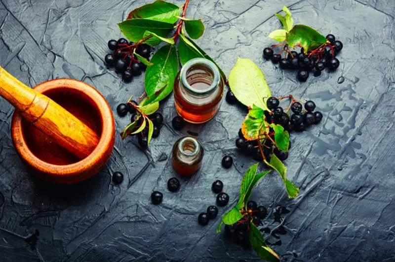 Aroniabeeren_Rezepten.jpg